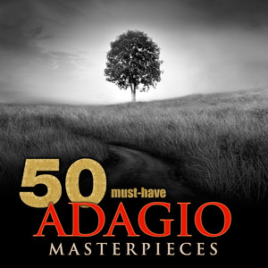 Adagio in G Minor (G小调柔板)