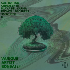 Bonsái (Original Mix)