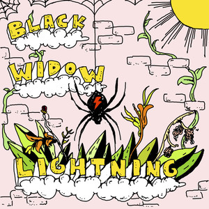 BLACK WIDOW LIGHTNING