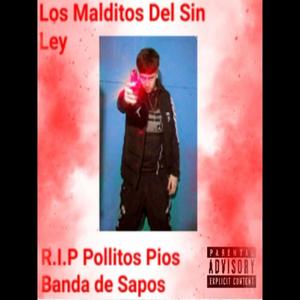 Benjamin vidal R.I.P Alcapone - perro bruno - perro Jesús - perro anakin - perro jdrug - y to los demás antixhoros (Explicit)