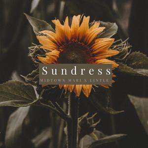 Sundress (feat. Lintle)