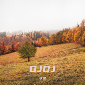 牛气冲天女版DJ