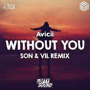 Without You (SON & Vil Remix)