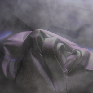 Back to Sofa Surfing