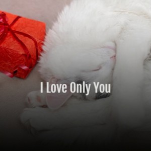 I Love Only You