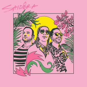 Deixa Tudo Fluir (Guerrinha's Deixa o Órgão Solar Mix)