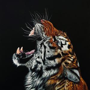 YEAR OF THE TIGER (ALBUM) [Explicit]