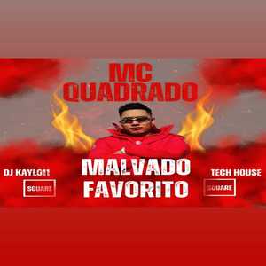 Seu Malvado Favorito - Tech House (Explicit)
