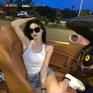 快手热歌专属 (DJ版)