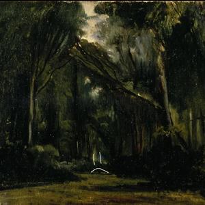 Forest (Explicit)