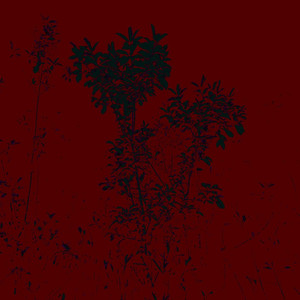 Daylight (feat. MOKES) (Explicit)