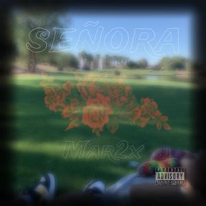Cant afford (feat. STS Osama & Luhh Lexiii) (Explicit)