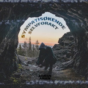 Sympatisøkende Selvforakt (Explicit)