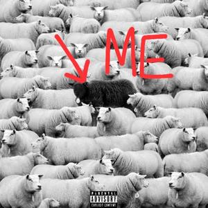 One Job (feat. Shxdy) (Explicit)