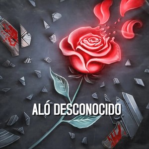 ALÓ DESCONOCIDO