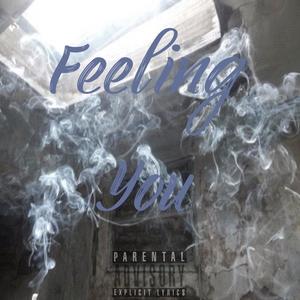 Feeling You(feat. TheonRay) (Explicit)