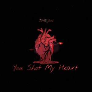 You Shot My Heart