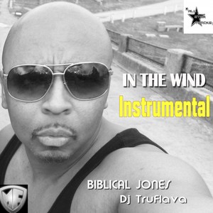 In the Wind (instrumental|纯音乐)
