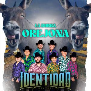 La Burra Orejona