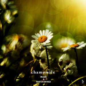 chamomile (Explicit)