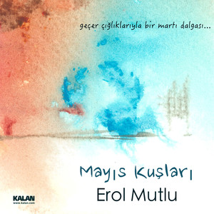 Mayıs Kuşları