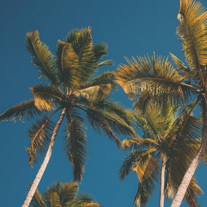 Senorita(Relaxing Piano)