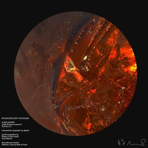 INTOXICATED [feat. Khaliq.I.Q & Trey Galactica] (Extended|Radio Edit)