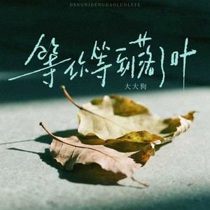 等你等到落了叶