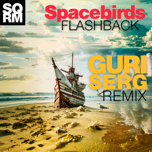 FLASHBACK (GURI SERG Remix)