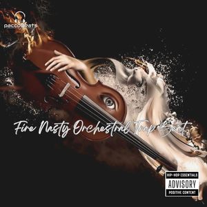 Fire Nasty Orchestral Trap Beat