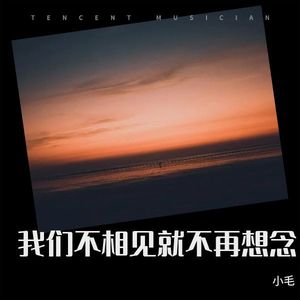 我们不相见就不再想念- (九零版DJ)