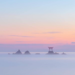 pretend to love (Explicit)