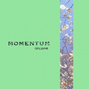 momentum