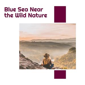 Choosy Ocean Lullaby