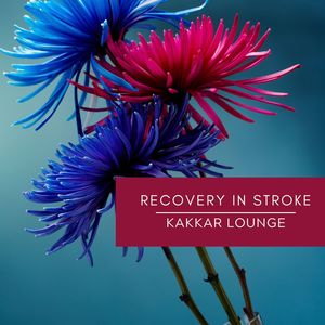 Recovery In Stroke (Original Mix)