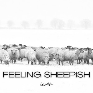 Feeling Sheepish