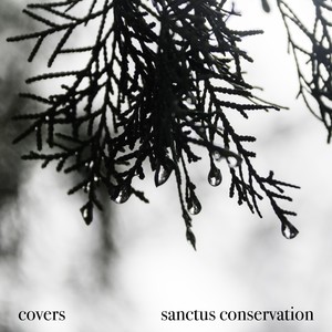 No Surprises (Radio Edit)