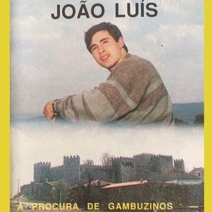 À Procura De Gambuzinos