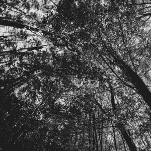 We flow(feat. Brian Bajak)