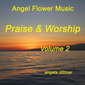 Praise & Worship, Vol. 2