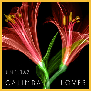 Calimba Lover