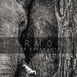 Harmony for Elephants