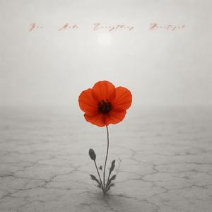 You Make Everything Beautiful