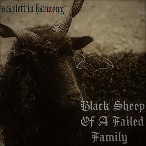 Black Sheep of a Failed Family (Explicit)