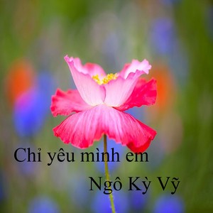 Chỉ yêu mình em