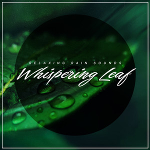 Relaxing Rain Sounds - Totals Cloudy