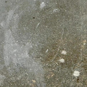 Omaggio a David Shapiro (feat. David Shapiro)