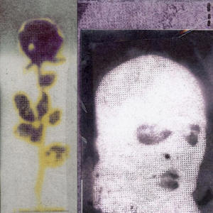 we dont like you (feat. rakaspen, myreala, arc angelo & noahsgrave) (Explicit)