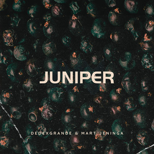 Juniper