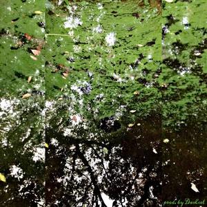 lost verse (Explicit)